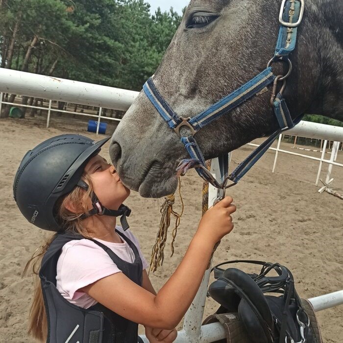 Usługi szkoleniowo-jeździeckie w De La Sens | Ośrodek Szkoleniowo-Jeździecki „De La Sens”